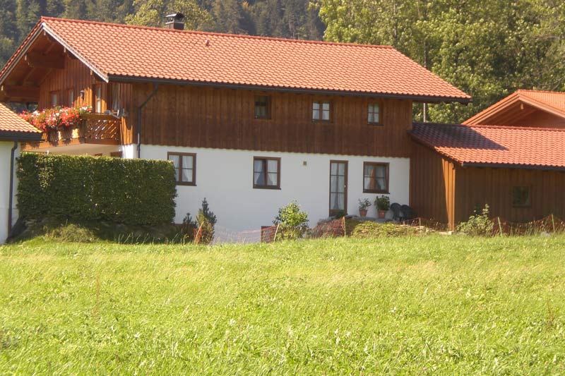Seealpe auf dem Nebelhorn